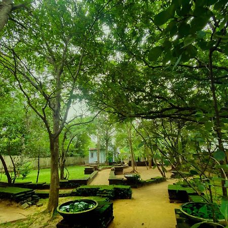 Twin Blocks Nature Resort Anuradhapura Zewnętrze zdjęcie