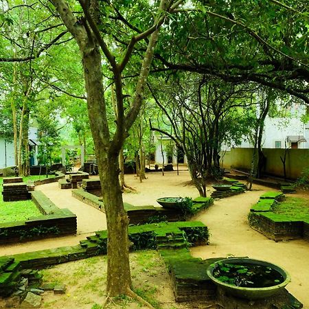 Twin Blocks Nature Resort Anuradhapura Zewnętrze zdjęcie