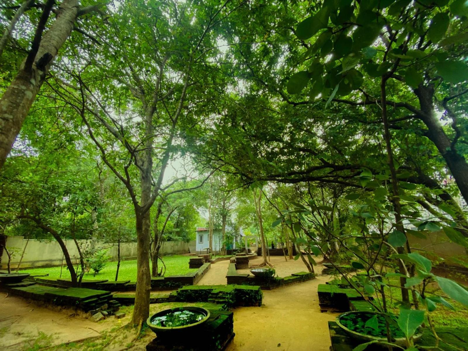 Twin Blocks Nature Resort Anuradhapura Zewnętrze zdjęcie