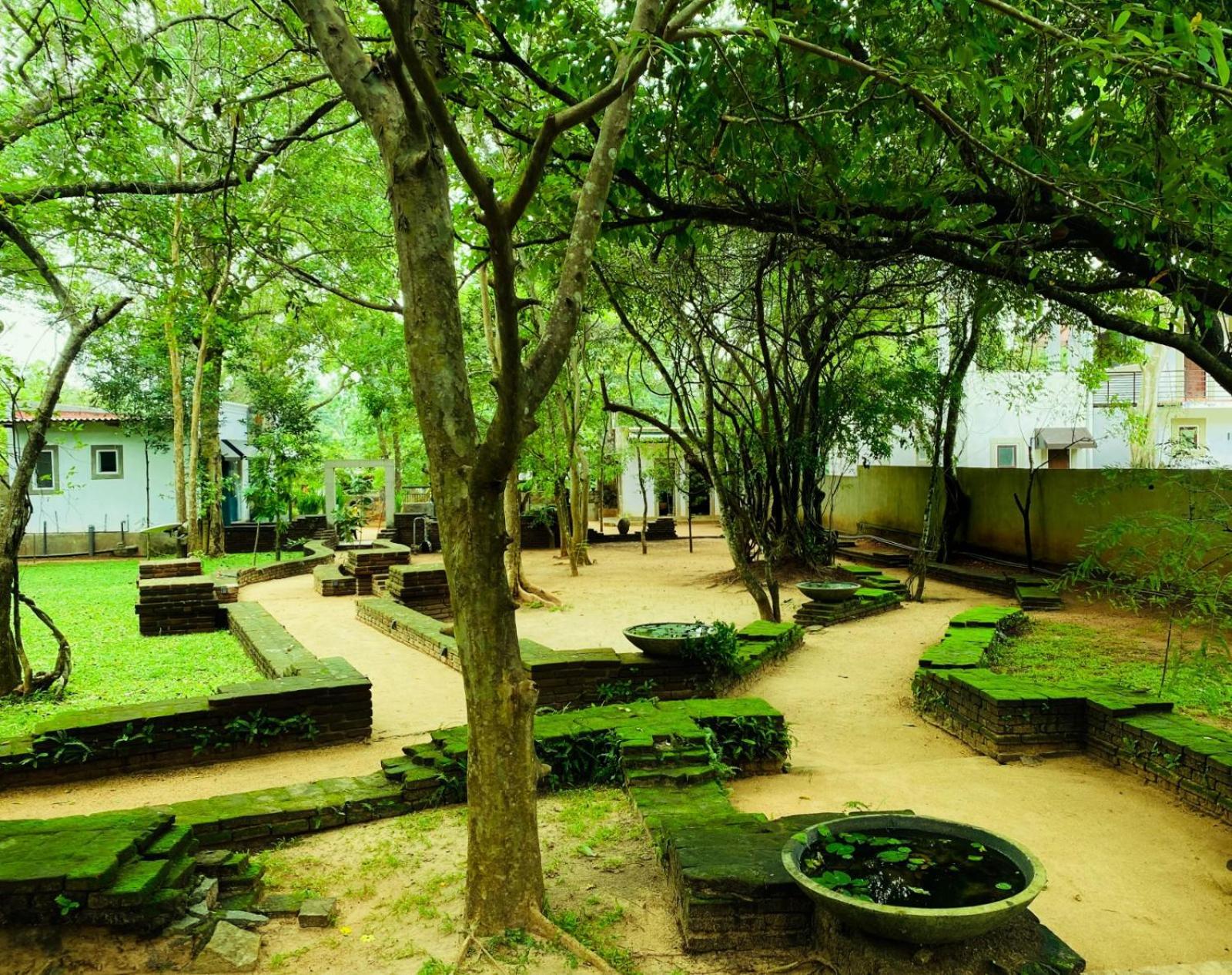 Twin Blocks Nature Resort Anuradhapura Zewnętrze zdjęcie