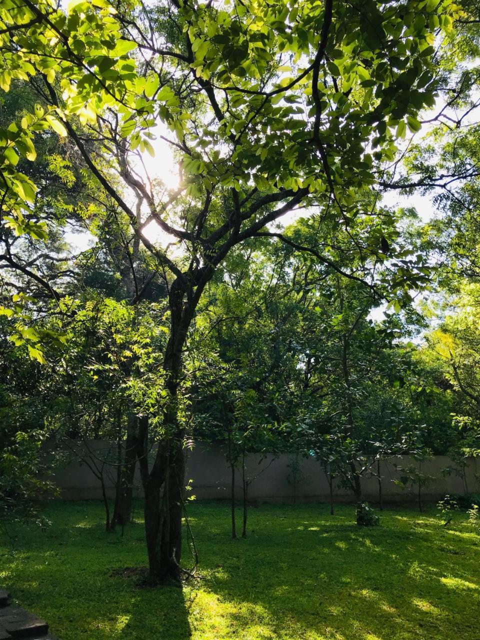 Twin Blocks Nature Resort Anuradhapura Zewnętrze zdjęcie